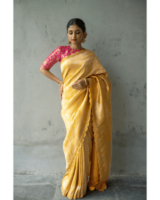 Brocade silk saree with curated border - KALUVA