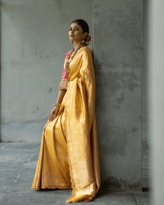 Brocade silk saree with curated border - KALUVA