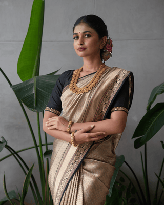 Our top selling ROLEX weave banarasi silk saree -  KALUVA