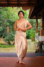 Load image into Gallery viewer, Alaru Meenakari Kadwa Tissue Gold