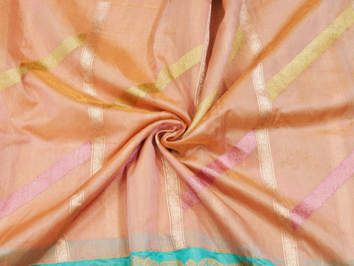 Banarsi Tissue Silk RB 183